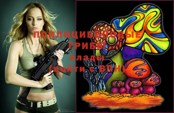 spice Алексеевка