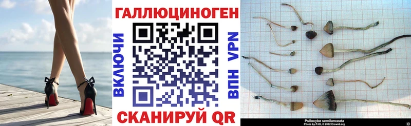 даркнет сайт Плавск hydra рабочий сайт Псилоцибиновые грибы GOLDEN TEACHER